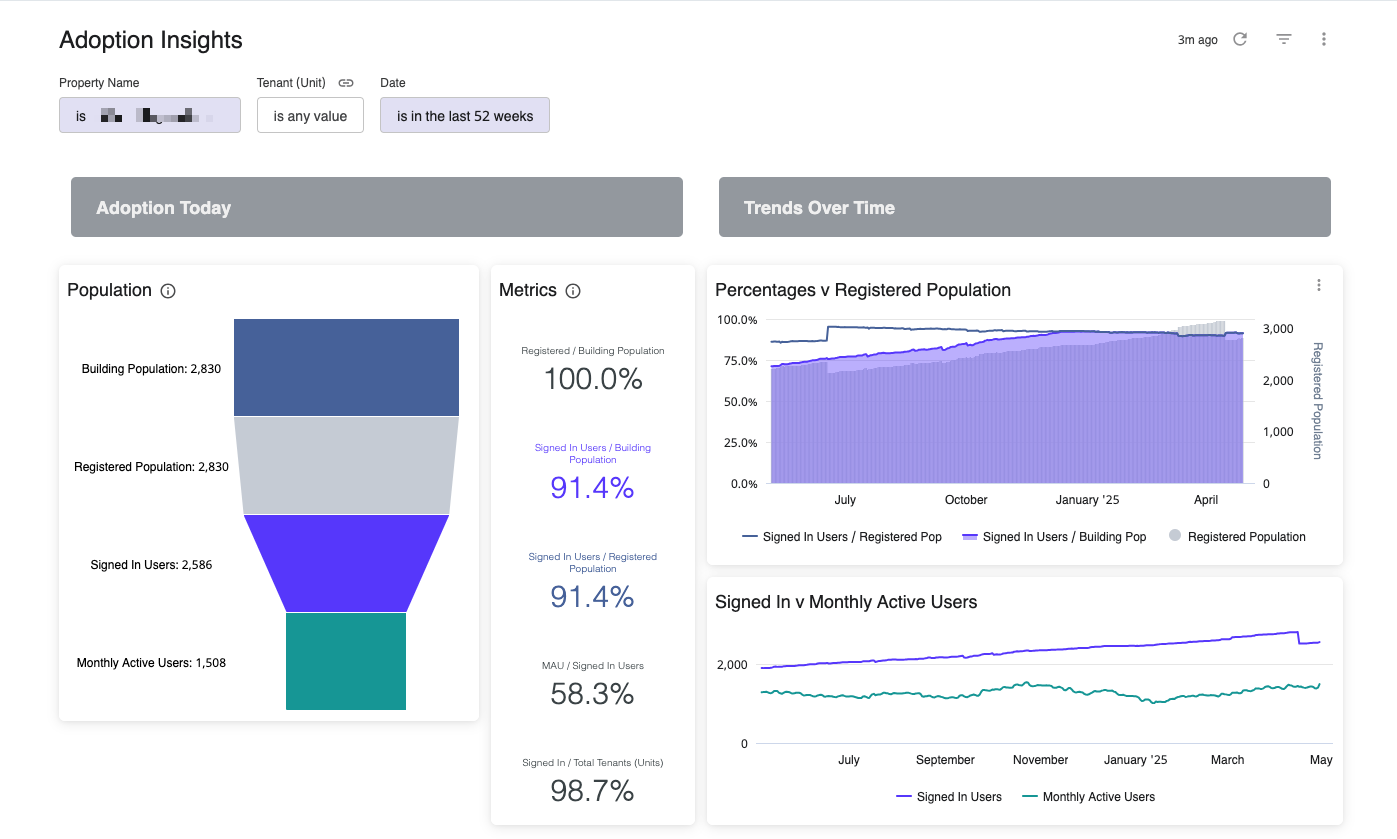 Rise Insights_Adoption_1.png